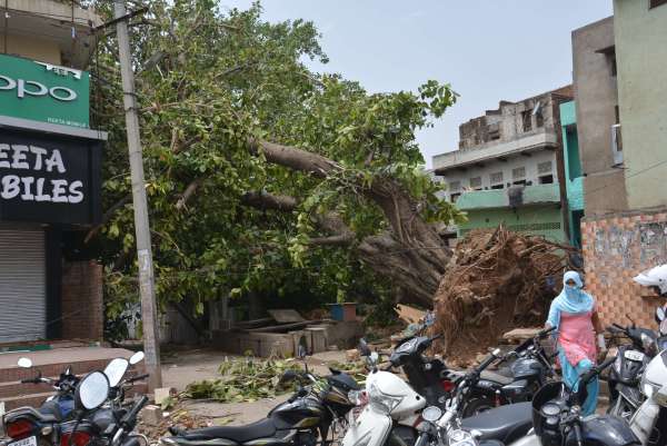 Photos of loss in alwar by storm