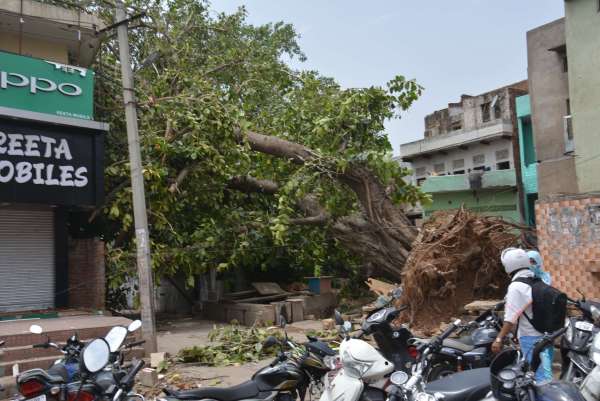 Alwar storm : Photos of heavy storm in alwar