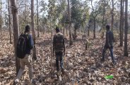 guna news, patrika bhopal, patrika news, forest department, strike, 