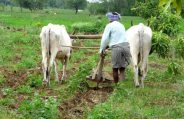 opinion,Indian farmers,work and life,rajasthan patrika article,