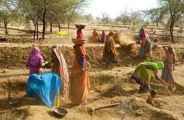 MNREGA workers stay on indefinite strike in bhilwara
