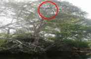 Panther attacks injured two youths in bhilwara