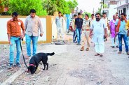Story of Teacher's house theft in satna