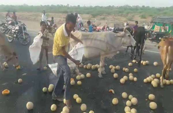 Bhilwara, bhilwara news, Road accident in bhilwara, Latest news in bhilwara, Bhilwara News in hindi, Hindi News in bhilwara, Latest hindi news in bhilwara