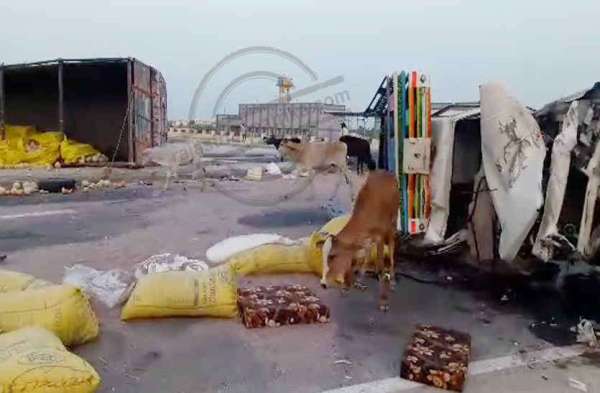 Bhilwara, bhilwara news, Road accident in bhilwara, Latest news in bhilwara, Bhilwara News in hindi, Hindi News in bhilwara, Latest hindi news in bhilwara