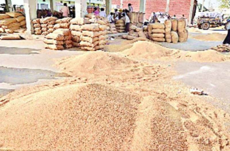 Wheat Purchase Center