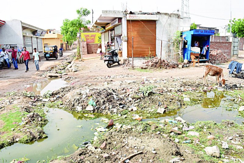 Satna Nagar Nigam Ward No. 5 news in hindi