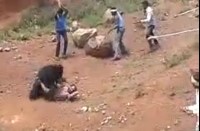 जांंच के बाद विभागीय अधिकाी ने की पुष्टि, पुराना व महासमुंद जिले का है वीडियो