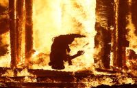 fire in forest latest update