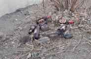Liquor in panchayat office Bhilwara