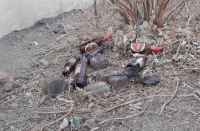 Liquor in panchayat office Bhilwara