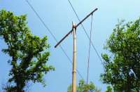 पेड़ काट कर उसे सुखाकर बिजली खंभा बना दिया। डंगालों में तार बांध दिया