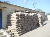 Incentives increased in wheat, 80 rise