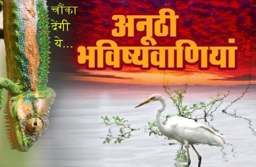 bhavishyafal aaj ka, bhavishyafal in hindi astroyogi