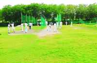 गेंदबाजी एक्शन