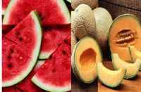 Six children ill with contaminated food in bhilwara