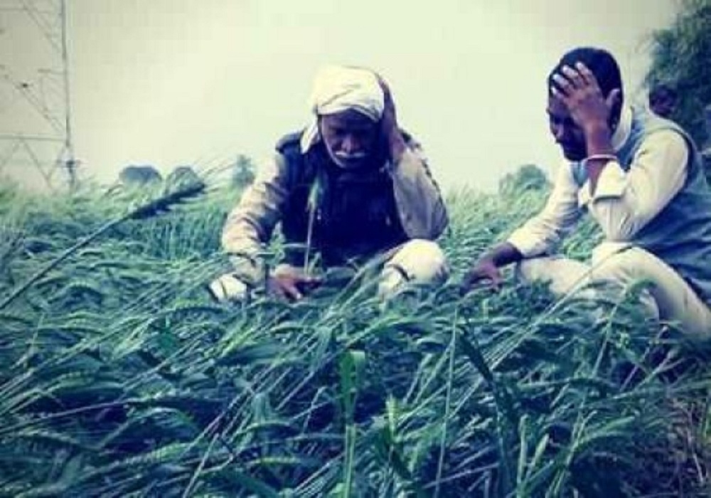 farmers