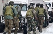army