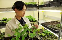 career courses,career tips in hindi,jobs in hindi,exam news in hindi,education tips in hindi,