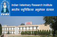 ivri
