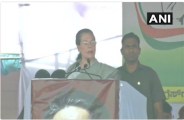 karnataka election, sonia gandhi
