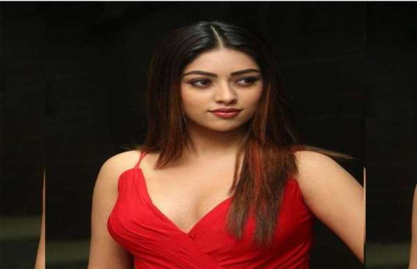 Anu Emmanuel hot and beautiful image 