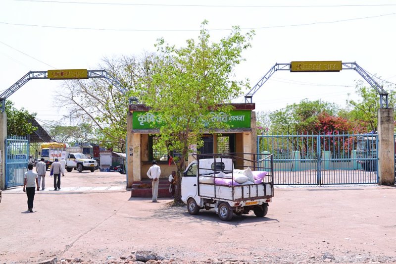 krishi upaj mandi samiti satna news in hindi