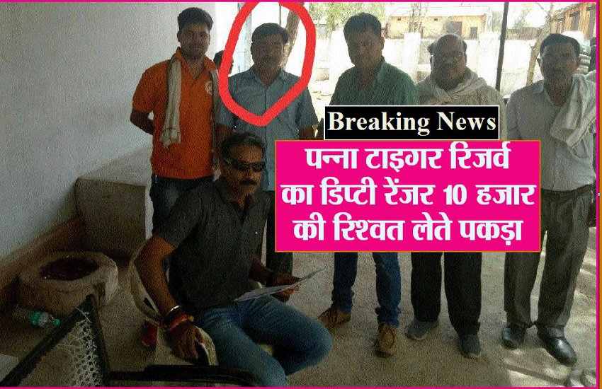 Panna Tiger Reserve deputy ranger caught with bribe in chhatarpur