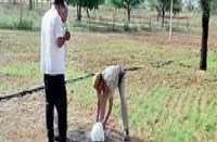 mms murder