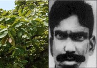 Before dacoit Dadua have