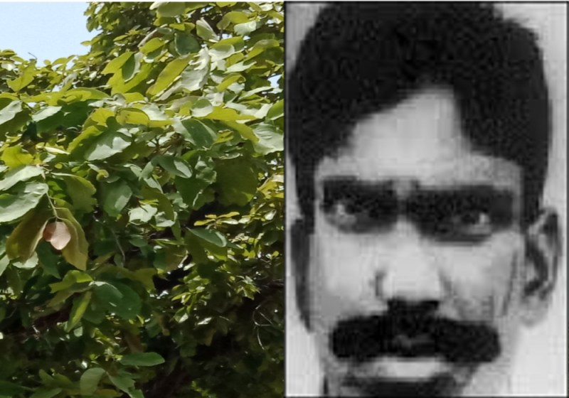 Before dacoit Dadua have