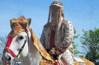 dalit groom sit on the mare