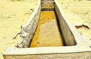 Delay in planning, not extinguished thirst