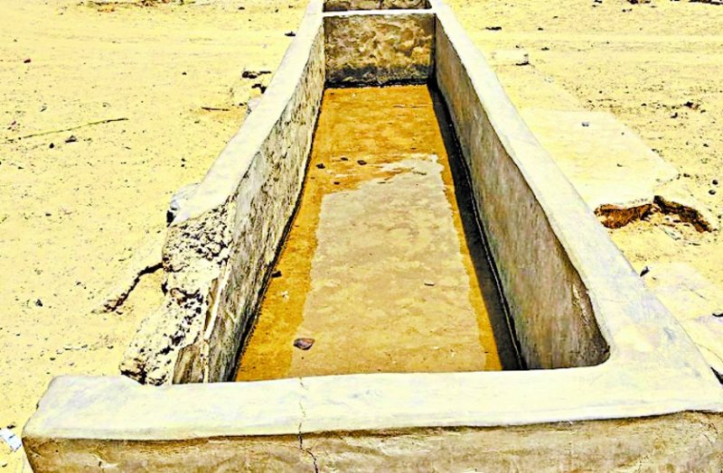 Delay in planning, not extinguished thirst