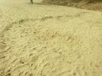 Salt made of sand in Mitchauli's eyes, the continuous turn of the sand