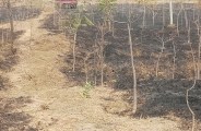 कलेक्टोरेट परिसर के पीछे लगी आग, सांसद, विधायक, कलेक्टर, एसपी सहित अन्य अफसरों के पौधे जल कर खाक