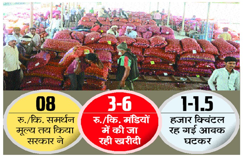 Before purchase, 75 percent fall in onion prices