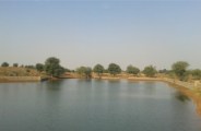 pond