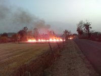 Now the torment will have to be burnt and fines