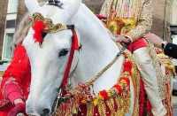 Do not prostration the groom in the temple in bhilwara