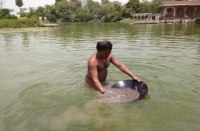 vidisha, vidisha news, vidisha patrika, patrika bhopal, emplyment, river, death, destany, workers, 