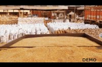 sehore, sehore news, sehore patrika, patrika news, patrika bhopal, kisaan, formar, transport, centers sluggish,