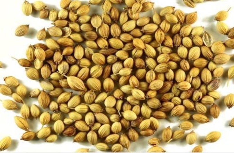 Coriander Seed