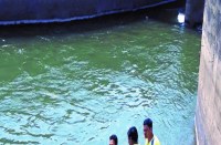 मुझे तैरना आता है कह कर युवक ने बायीं तट नहर में लगा दी छलांग, फिर जो हुआ पढि़ए खबर...