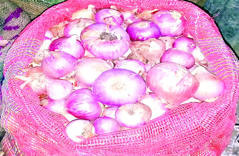 Farmers News In Bemetara, onion News, Bemetara Breaking news