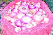 Farmers News In Bemetara, onion News, Bemetara Breaking news