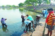 pond cleaning campaign, Mission clean india, Bemetara Public Opinion, Patrika campaign