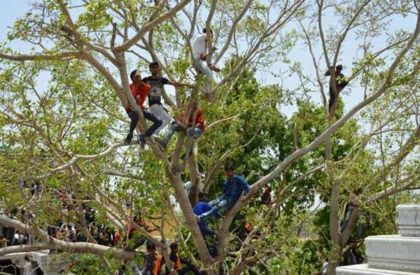 Bhilwara, bhilwara news, Mhayagya in kotdi charbhujanath in bhilwara, Latest news in bhilwara, Bhilwara News in hindi, Hindi News in bhilwara, Latest hindi news in bhilwara