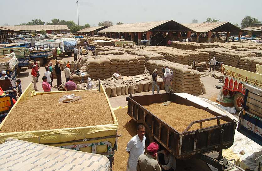 GUNA, GUNA NEWS, GUNA PATRIKA, PATRIKA BHOPAL, kisaan, guna kisaan, tulai kendra,