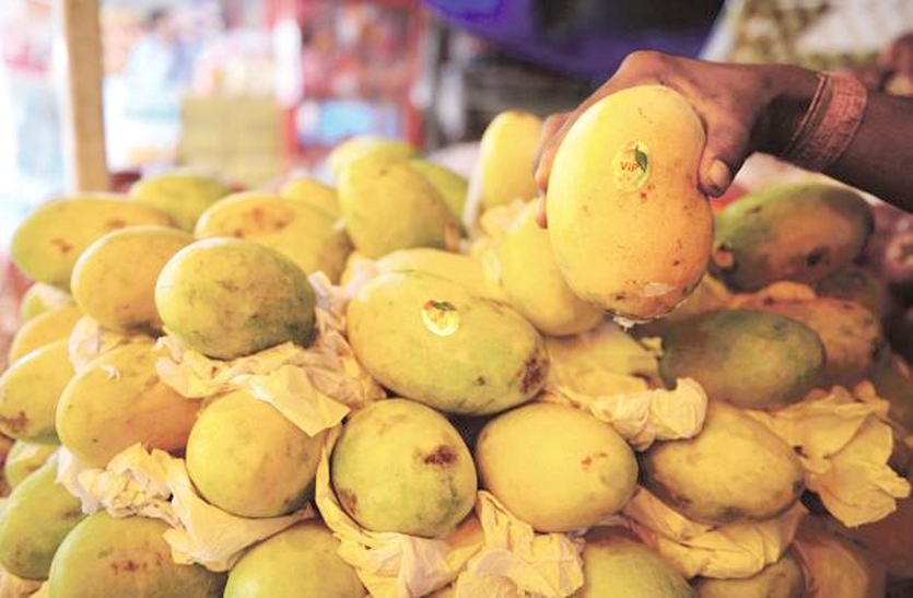 ten thousand kilogram mango consumed in sikar per day